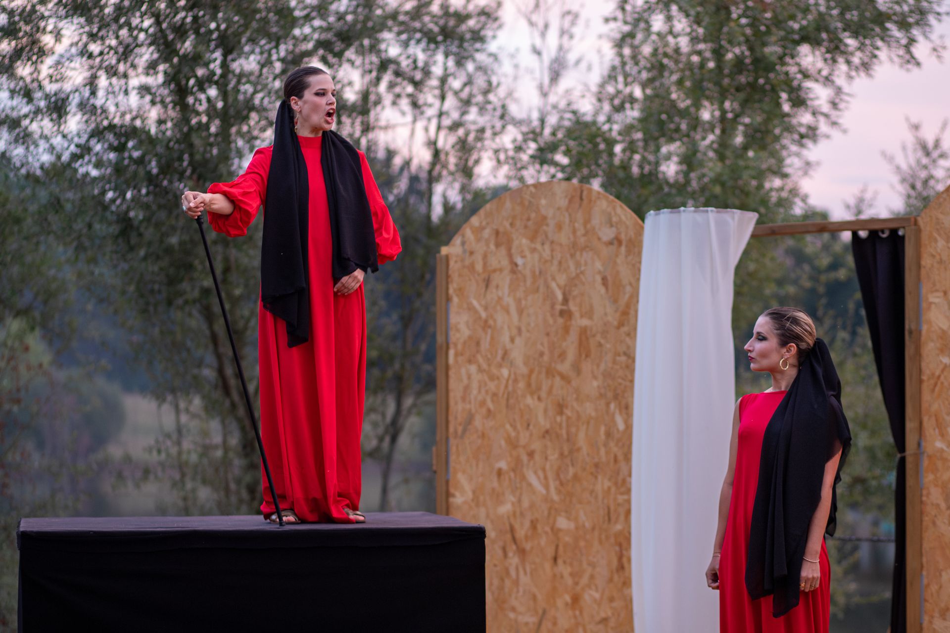 Image galerie L'Anarchiste couronné