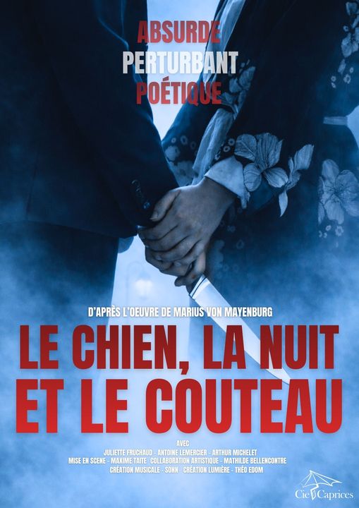 Affiche du spectacle le-chien-la-nuit-et-le-couteau